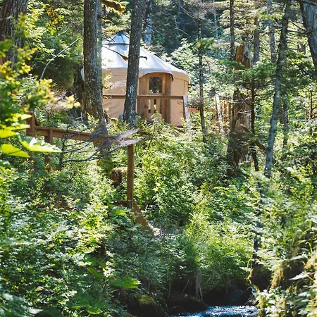 Shearwater Cove Hotel Seward Exterior foto