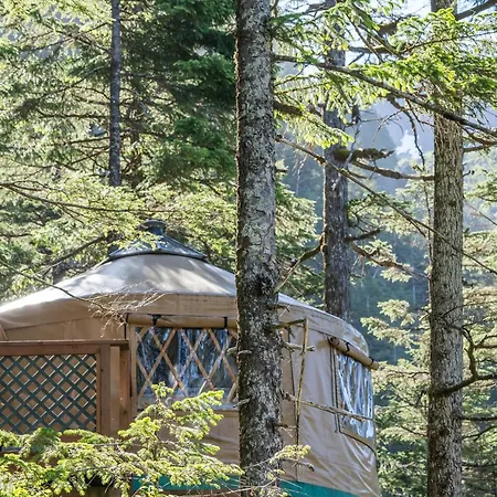 Shearwater Cove Hotel Seward Exterior foto
