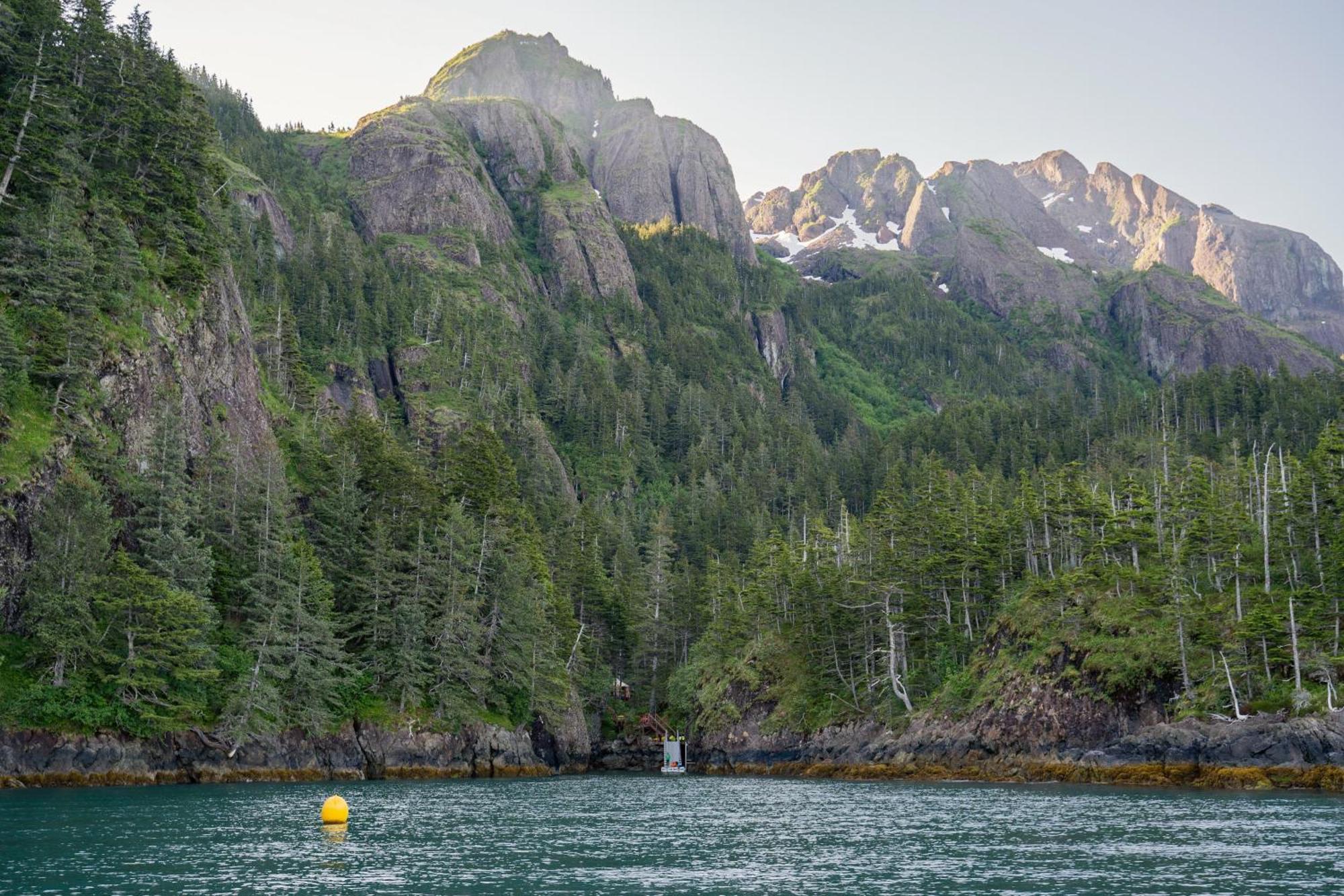 Shearwater Cove * Seward